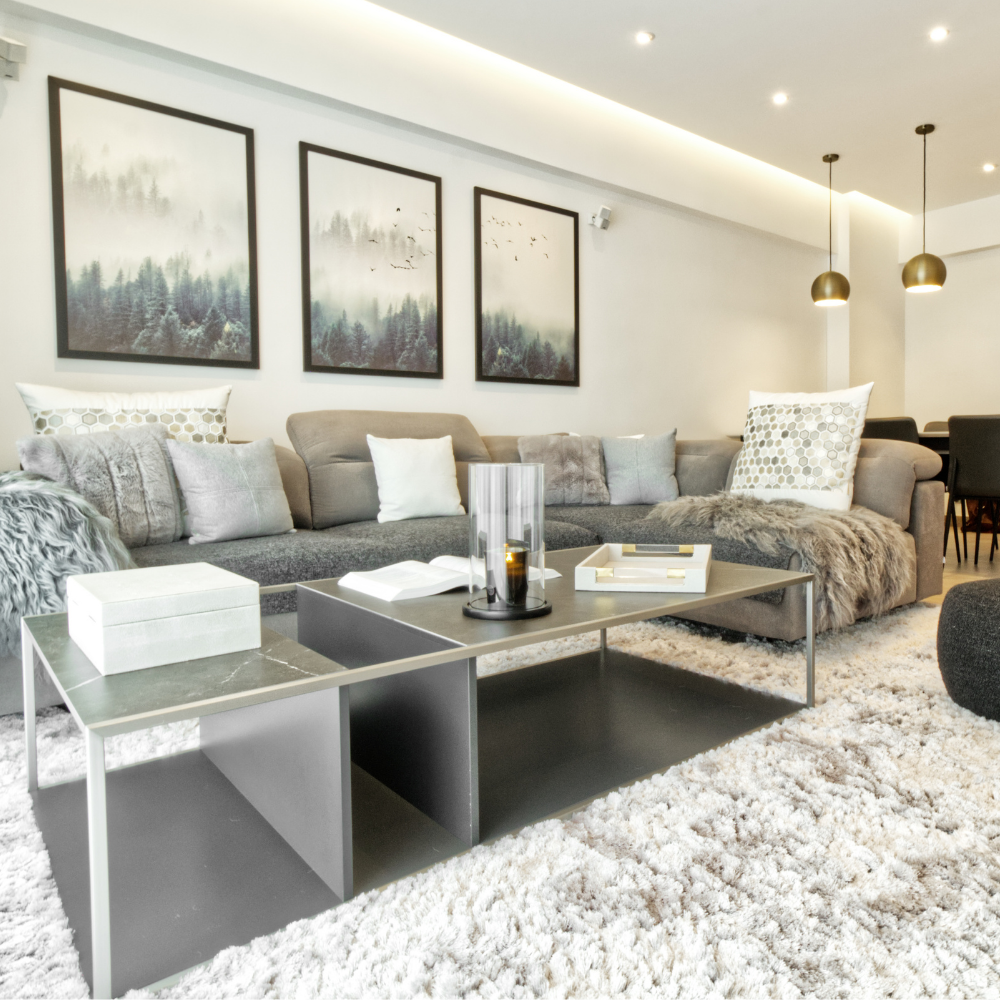 residentail interior design living room